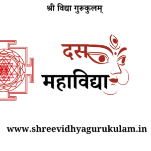 दस महाविद्या